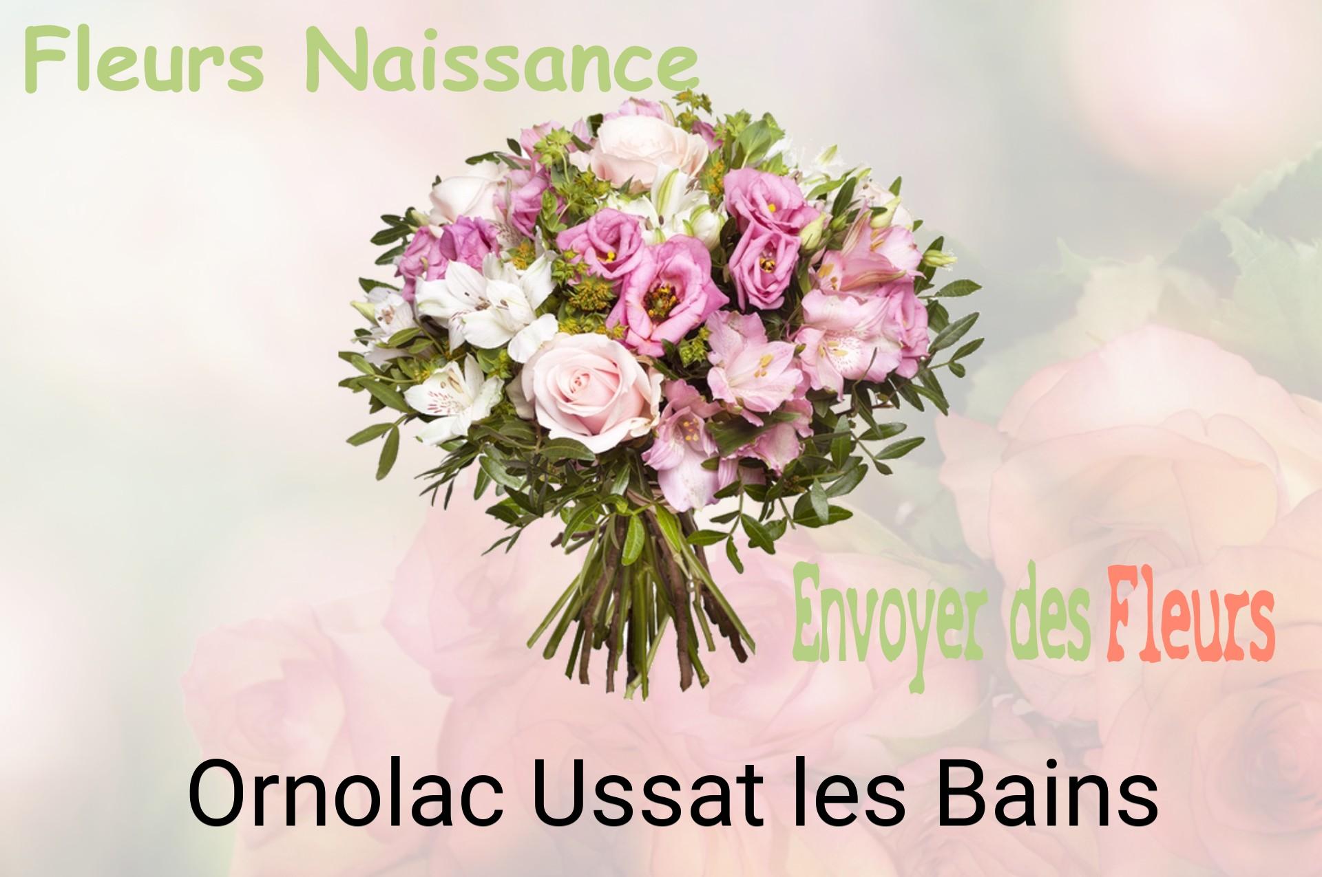 Bouquet de fleurs de naissance livré à Ornolac-Ussat-les-Bains